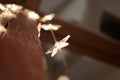 Star light Cristmas decoration on wood Detail winter Home