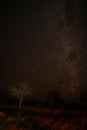 Star lite night in Central Africa Botswana with no light polution