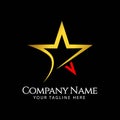 Star Company Logo Vector Template Design Illustration