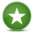 Star luxurious glossy green round button abstract Royalty Free Stock Photo