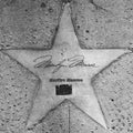 Star of Marilyn Monroe on sidewalk in Phoenix, Arizona