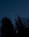 Star and moon rising above tree silhouettes at night