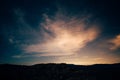 Star Scape in Joshua Tree, CA Royalty Free Stock Photo