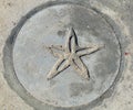 sea star cement plaque on the floor Royalty Free Stock Photo