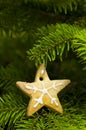 Star shape short bread cookie