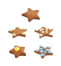 Star shaped cookie isolated Royalty Free Stock Photo