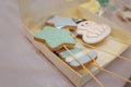 Star shaped gingerbread cookies, cake with baby boy picture. Sweet treats or birthday cake toppeers on wooden skewers