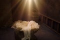 Star shining on Christmas crib Royalty Free Stock Photo