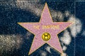 the star for The Simpsons on the walk of fame Royalty Free Stock Photo