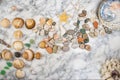 Star, stones and shells lying on a marble background, composition of sea stones and seashells, marine composition, composition of