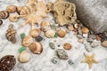 Star, stones and shells lying on a marble background, composition of sea stones and seashells, marine composition, composition of