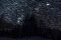 Star trails above alpine forest. Royalty Free Stock Photo