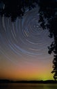 Star trails behind tree branches Royalty Free Stock Photo