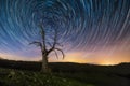 Star trails, circumpolar, over a dead tree Royalty Free Stock Photo