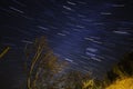 Star trails and leafless tree Royalty Free Stock Photo