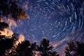 Star trails in night sky above trees Royalty Free Stock Photo