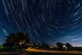 Star trails in night sky above trees Royalty Free Stock Photo