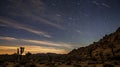 Star Trails over Desert Landscape