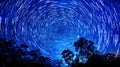 Star trails over forest night sky Royalty Free Stock Photo