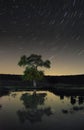 Star trails over a lake and tree at night Royalty Free Stock Photo