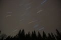 Star trails in the sky above the trees Royalty Free Stock Photo