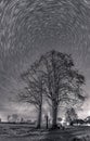 Star trails in a winter sky and circles over a lonely tree in a starry night, monochrome astro photo. Royalty Free Stock Photo