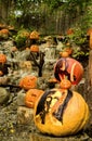 Star Wars carved pumpkins.