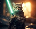 The Star Wars jedi cat is holding a light saber indoors. Royalty Free Stock Photo