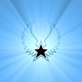 Star wing symbol sun light flares