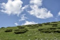 Stara Planina mountain Royalty Free Stock Photo