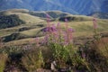 Stara planina mountain in Serbia Royalty Free Stock Photo