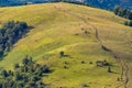 Stara planina mountain in Serbia Royalty Free Stock Photo