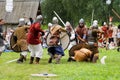 Historic viking festival