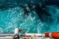 Starboard side of a ferry boat on the Adriatic Sea. Royalty Free Stock Photo