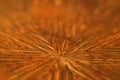 Starburst pattern on the wooden table