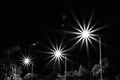 Starburst Streetlights Royalty Free Stock Photo