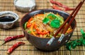 Starch rice, potato noodles with vegetables - bell peppers, carrots, cucumber, sesame seeds, cilantro and soy sauce Royalty Free Stock Photo