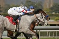 Stardom Bound Wins The Santa Anita Oaks