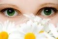 Stare of green women eyes Royalty Free Stock Photo