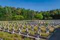 Rows of graves in military cemetery for fallen soldiers from 1st Polish Army, Polan