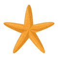 starfish animal beach icon
