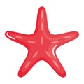 Starfish animal shell isolated icon