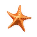 Starfish Aquatic Underwater Caribbean Fish Vector Royalty Free Stock Photo