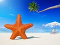 Starfish Beach Coconut Tree Summer Vacation Concept