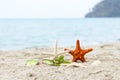 Starfish on the beach with copy space concept summer season on tropical beach