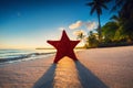 Starfish on the beach with palm trees at sunrise Royalty Free Stock Photo