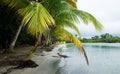 Beach on Bocas del Toro, in Panama Royalty Free Stock Photo