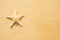 Starfish on beach sand Royalty Free Stock Photo