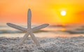 Starfish on the beach sand. Spring break or Summer vacations. Ocean Coast or shore Gulf of Mexico.