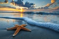 Starfish on Beach With Setting Sun Royalty Free Stock Photo